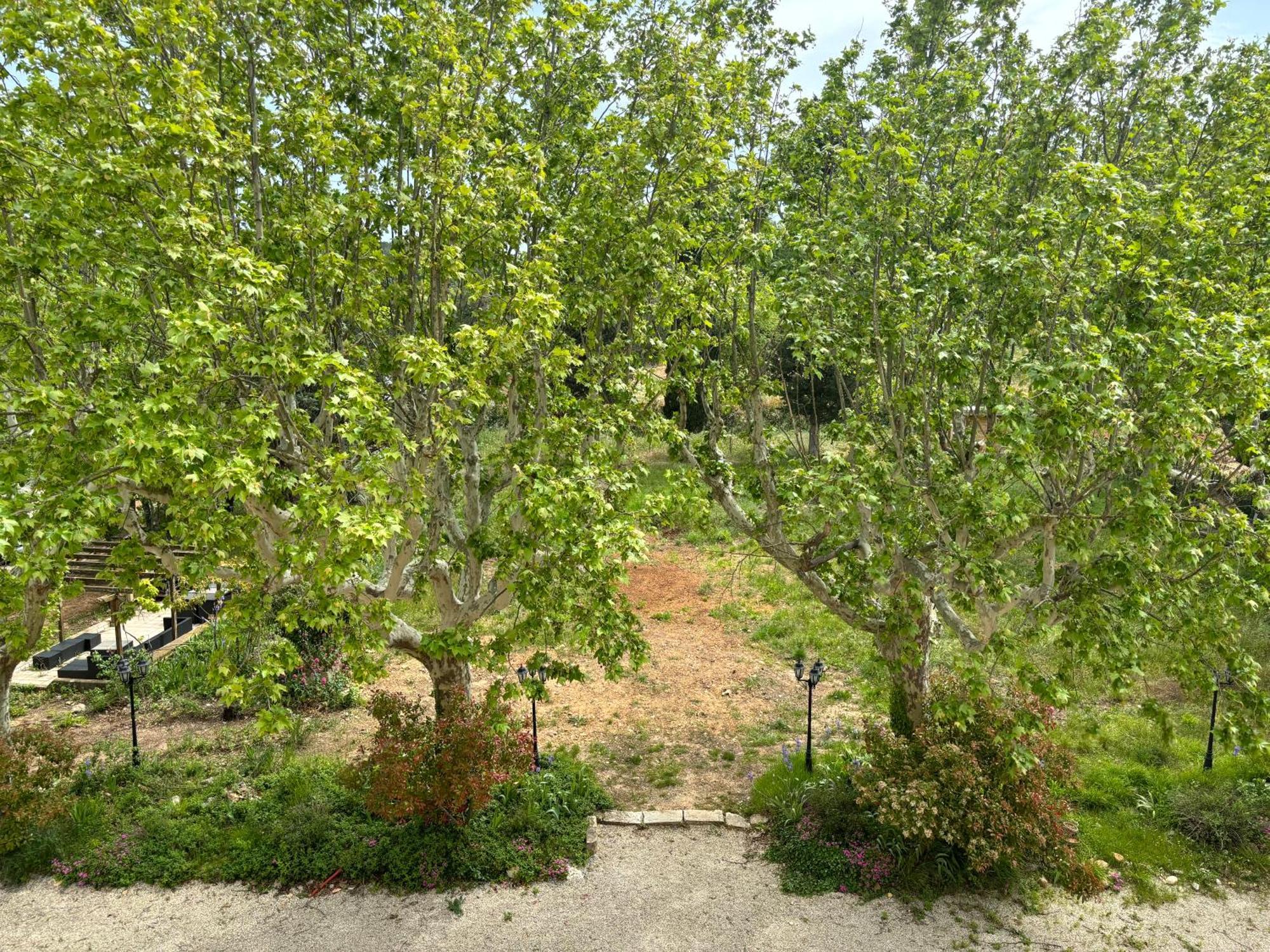 Appartement De Standing Dans Une Bastide Aixoise Aix-en-Provence Exteriör bild
